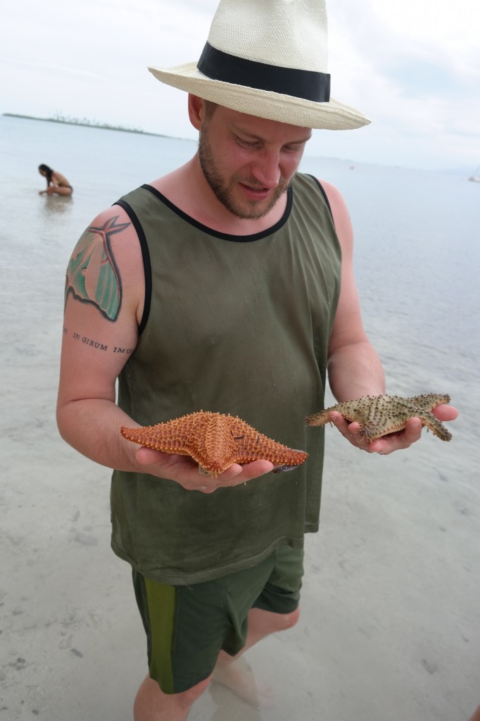 Giant starfish!