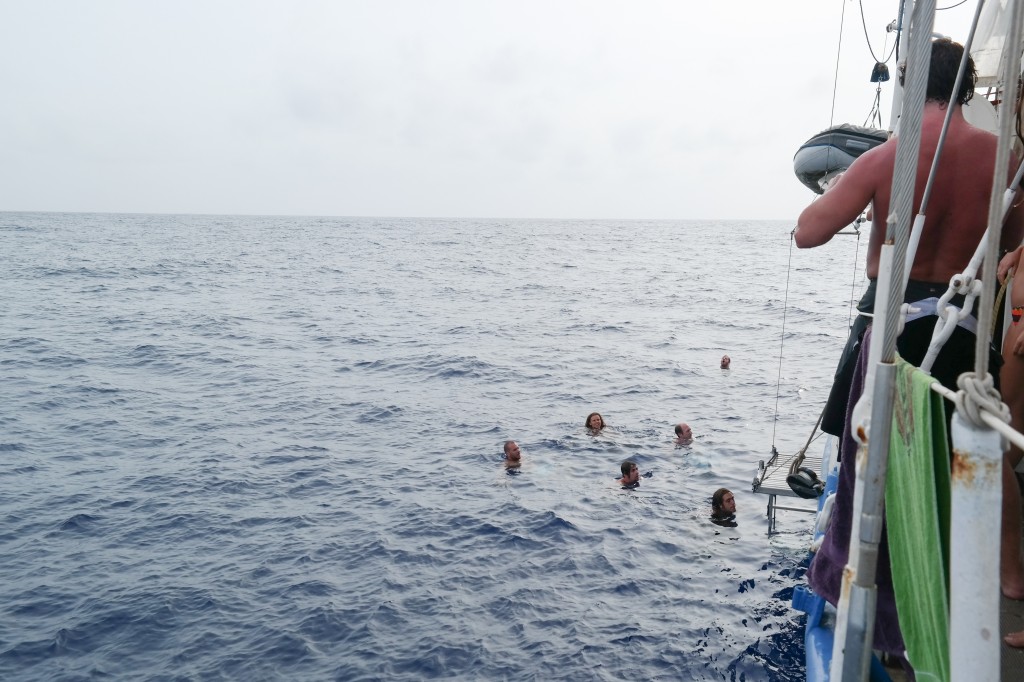 Swimming in the open waters!