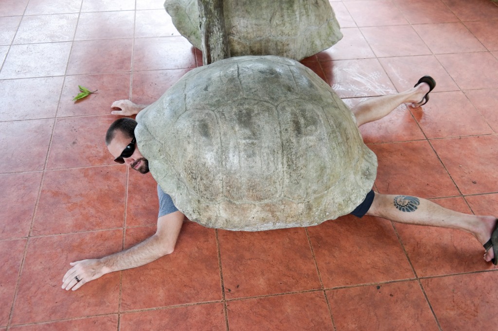Here we have the Giant Bearded Esus Tortoise, a rare spotting. 