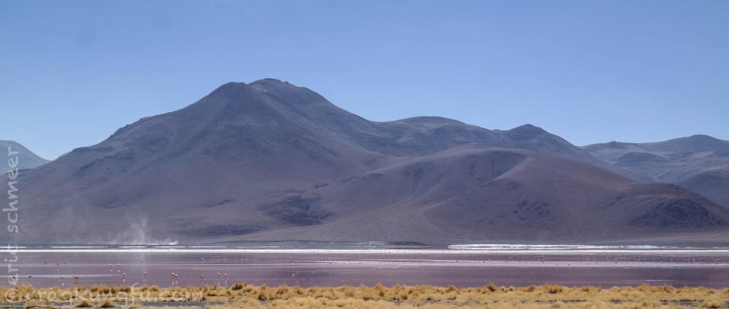 Hundreds of flamingos scattered across the blood red lake.